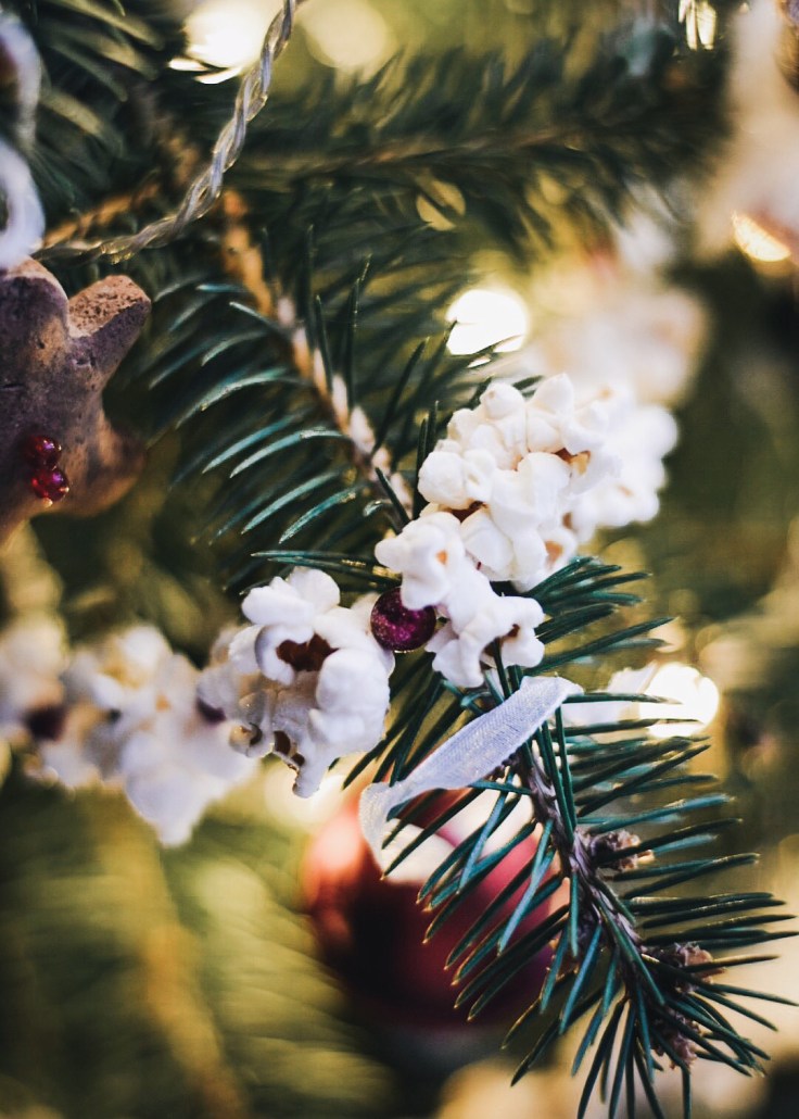 Processed with VSCO with a6 preset